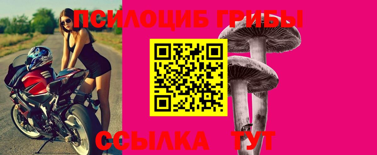 Псилоцибиновые грибы прущие грибы Лыткарино