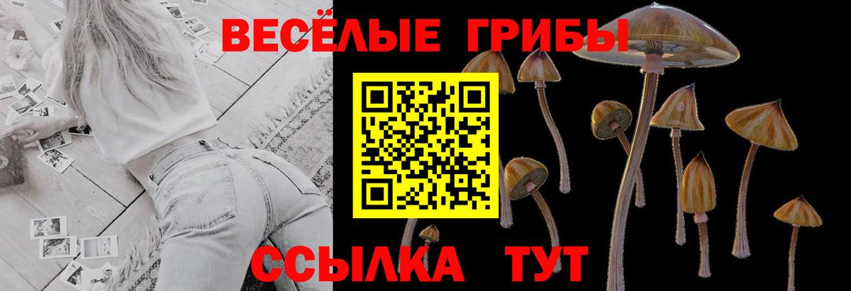 Лыткарино  Галлюциногенные грибы Magic Shrooms  Вход с VPN  Псилоцибиновые грибы MAGIC MUSHROOMS 